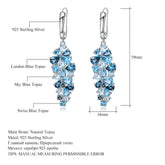 Natural Gemstone Drop Earrings �925 Sterling Silver Long Earrings (Blue Topaz / Green Agate / Garnet) Pearl Unique